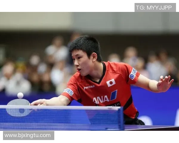 对话杨敏：回顾乒乓球生涯的辉煌与挑战与未来展望